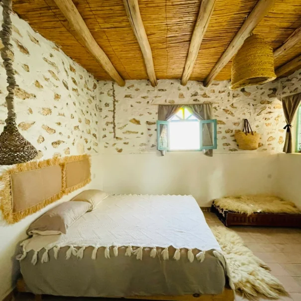 43976bc3-fda9-4a7b-b245-0556c544124c-2